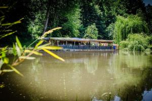 a building in the middle of a body of water at Hiška Nika in Malečnik