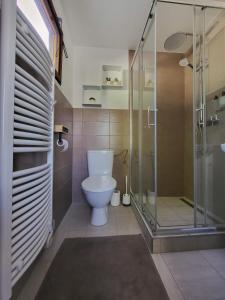 a bathroom with a toilet and a glass shower at Broumík - chata s výhledy in Opočno