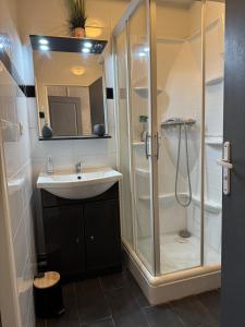 a bathroom with a sink and a shower at Superbe appartement cosy Centre Bordeaux in Bordeaux +48 photos