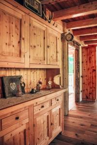a kitchen with wooden cabinets and a counter top at by Interhome in Bedollo