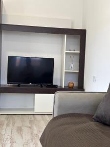 a living room with a flat screen tv on a wall at Lily Bloom Apartments in Radanovići