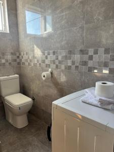 a bathroom with a toilet and a sink at Lily Bloom Apartments in Radanovići