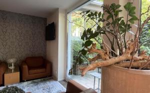 a living room with a large potted plant next to a window at DORMERO Hotel Essen in Essen