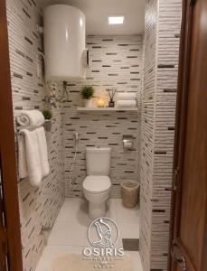 a bathroom with a white toilet in a room at Osiris Hotel Downtown in Cairo +15 photos