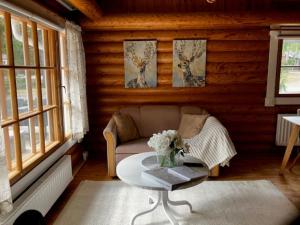 a living room with a couch and a coffee table at Honkahimos 7, Pohjois-Huippu, Jämsä in Jämsä