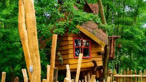 a small log cabin with a window in a forest at Baumhaushotel - Die geheime Welt von Turisede - Kulturinsel Einsiedel in Zentendorf +187 photos