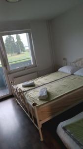 a bedroom with a large bed with a window at Apartma pri Renati in Celje