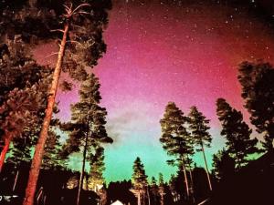 a star filled night sky with trees and a forest at Chalet Vrådal by Interhome in Vradal +86 photos