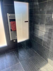 a shower with a glass door in a bathroom at Plage 200m in Saint-Cyr-sur-Mer +10 photos