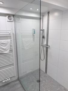 una doccia con porta in vetro in un bagno di Hotel Schatthaus a Greetsiel Altre 32 foto