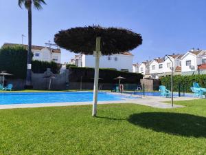 a tree in the grass next to a swimming pool at Las Nubes Mairena in Mairena del Aljarafe