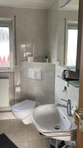 a bathroom with a white toilet and a sink at Ferienwohnung Breininger in Lemberg
