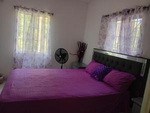 a purple bed in a bedroom with windows and a fan at Cozy Room with fast Internet & Netflix in Whitehall