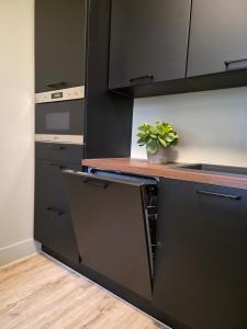 a kitchen with black cabinets and a potted plant at Gästehaus Wilsickow in Lübbenow