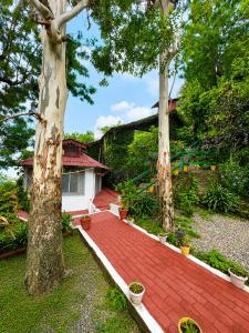 a house with two trees and a red roof at Kumaon Cottage, Nainital - AM Hotel Kollection in Nainital +46 photos
