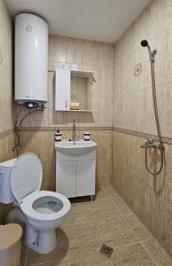 a bathroom with a toilet and a sink and a shower at Душковата къща in Chekhlare