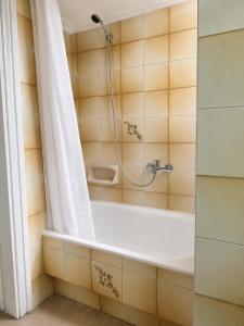 a bathroom with a bath tub with a shower at Aposperitis in Amarynthos +14 photos
