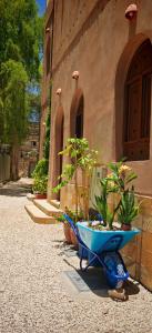a wheelbarrow with plants in it next to a building at Room 7 in Nizwa