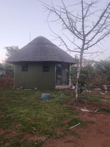 a small hut with a thatched roof in a field at Tsetsebjwe Bush Camp in Otse