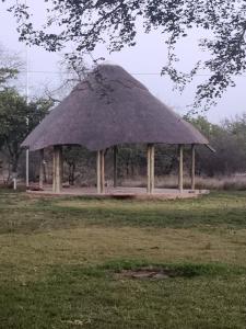 a gazebo with a straw roof in a field at Tsetsebjwe Bush Camp in Otse