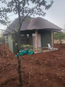 a small hut with a thatched roof in a field at Tsetsebjwe Bush Camp in Otse