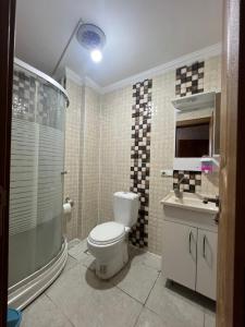 a bathroom with a toilet and a sink and a shower at VAN SERHAT Pansiyon in Ipekyolu