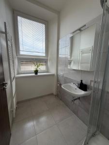 a bathroom with a sink and a shower and a window at Apartmán Pardubice 4 in Pardubice