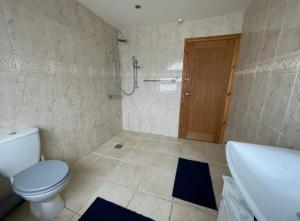 a bathroom with a toilet and a tub and a sink at The Annexe in Ammanford +12 photos
