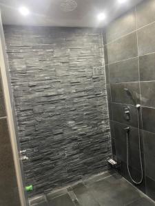 a bathroom with a shower with a tile wall at Apartmen Emina 1 in Doglodi