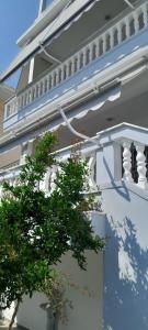 a white building with a tree in front of it at Villa K & N in Sarandë