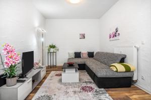 a living room with a couch and a tv at Danma Ferienwohnung Apartment Eifel in Laubach