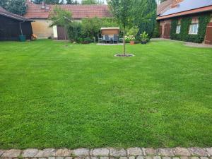 a yard with a green lawn with a tree in it at Ferienwohnung Buschmühle Schlepzig in Schlepzig