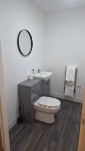 a bathroom with a toilet and a sink and a mirror at Broadway residence G01 in Bradford +5 photos