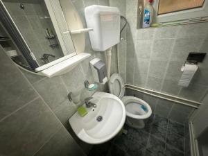 a small bathroom with a toilet and a sink at Apartman Kostadinovic in Pirot