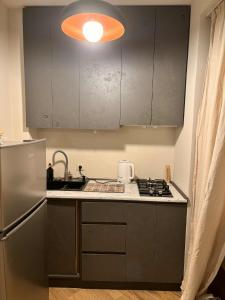 a kitchen with a sink and a stove and cabinets at Fughuro cottage in Bakuriani