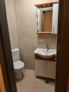 a bathroom with a toilet and a sink and a mirror at Fughuro cottage in Bakuriani +10 photos