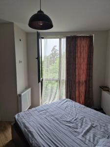 a bedroom with a bed and a large window at Fughuro cottage in Bakuriani