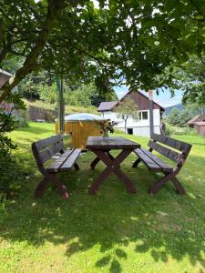 two benches and a picnic table under a tree at Dom w górach Zacisze lasu z prywatną balią in Sucha Beskidzka