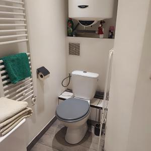 a bathroom with a toilet with a blue seat at Little studio in the old town in Vence