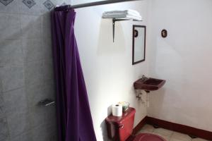 a bathroom with a purple shower curtain and a toilet at El Callejon Guest House in León +50 photos