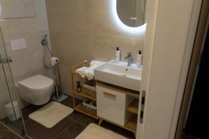 a bathroom with a sink and a toilet and a mirror at MOLO LIPNO RESIDENCE in Lipno nad Vltavou +269 photos