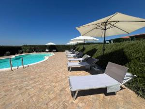 a row of chairs and umbrellas next to a pool at Il Melarancio in Pescia Romana