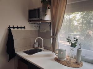 a kitchen counter with a sink and a window at Jázmin apartmanok in Pogány +22 photos