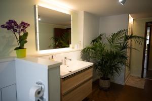 a bathroom with a sink and a mirror and a plant at Michlhof in Oberostendorf +33 photos
