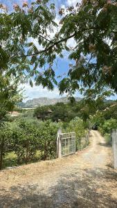 a dirt road with a gate in a field at Guest House Keli in Nënshat