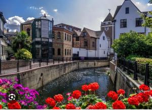 a canal in a city with flowers at Riverside all for you in Kingston upon Thames