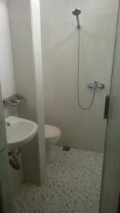 a bathroom with a shower and a toilet and a sink at Oasis Homestay in Mendut