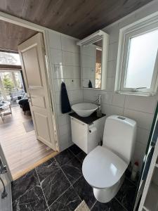 a bathroom with a white toilet and a sink at Skogsviken Guesthouse in Munkedal