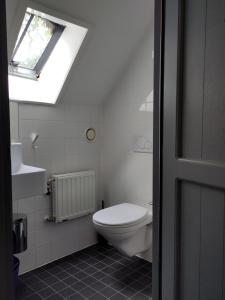 a bathroom with a white toilet and a skylight at Hof van Vijfeijken in Boxtel +104 photos