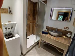 a bathroom with a sink and a shower at Le Rucher de St Pierre in Sainte-Marie-aux-Mines +14 photos